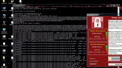 wanakiwi.. أداة جديدة لفك شفرة فيروس الفدية