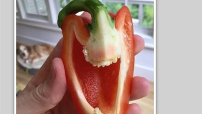 أشياء بأوجه بشرية تثير دهشة رواد مواقع التواصل (صور)