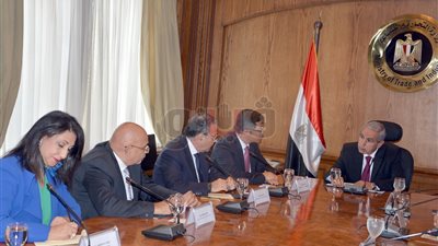 طارق قابيل يلتقي وفدا سويسريا لبحث تحسين استخدامات الطاقة