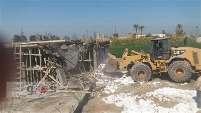 المنيا تزيل التعديات على 168 فدانا وتسلمها للجنة أراضي الدولة