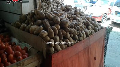 بالفيديو.. تراجع أسعار الخضراوات.. وكيلو الطماطم بـ 5 جنيهات