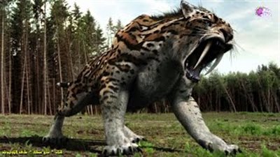 بالفيديو.. 10 حيوانات منقرضة مرشحة للعودة إلى الحياة من جديد