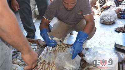 بالصور.. إقبال على الأسماك بمنفذ بيع المصنوعات بالغردقة