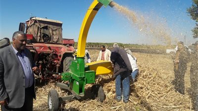 البيئة تكافح حرق سفير القصب بالصعيد