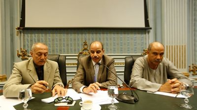 «زراعة البرلمان»: الحكومة تنفذ قرارات الرئيس «غلط»