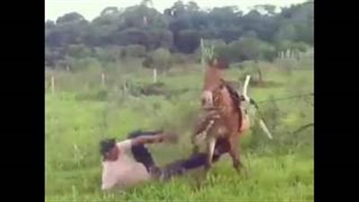 بالفيديو.. حصان ينتقم من رجل أثار غضبه