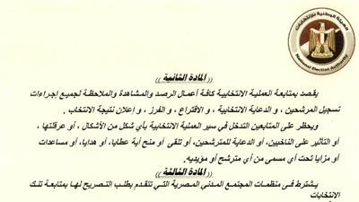 قواعد متابعة منظمات المجتمع المدني المحلية والأجنبية لانتخابات الرئاسة