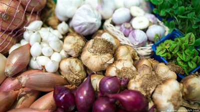 دراسة: البصل والثوم يمنعان الإصابة بالسرطان