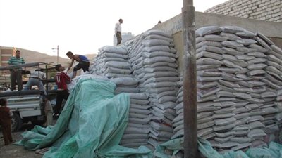 الجمل : 8 ملايين طن أسمدة يتم تصديرها للخارج