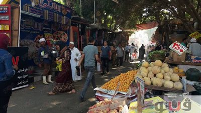 بالصور.. حملة لإزالة الإشغالات بمحيط كوبري الخشب