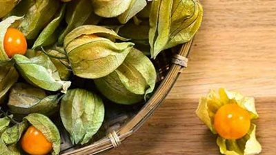 أخصائية تغذية علاجية: الحرنكش يقي من السرطان ومفيد لمرضى السكر والضغط