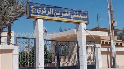 بالفيديو والصور.. بلد «المليون نخلة» تشكو انعدام الخدمات بالشرقية