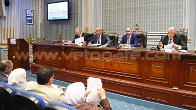 نائب: «الحكومة سايبة اللي بيزرعوا الموز وتطارد مزارعي الأرز»