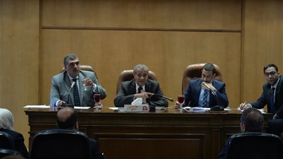 وزير قطاع الأعمال: شركات الحديد والنسيج «الأكثر تعثرا»