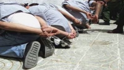 ضبط تشكيل عصابي تخصص في الاستيلاء على أراضي الغير بمستندات مزورة