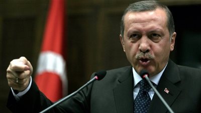 دبلوماسي سابق: يجب التفريق بين أردوغان وحزبه وبين الدولة والشعب التركي