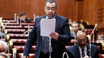 نائب الوفد: نقل سلطة الرقابة على السلع الغذائية يهدد أمن مصر الغذائي