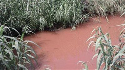 ري الدقهلية: السيطرة على بقعة الزيت بترعة دكرنس