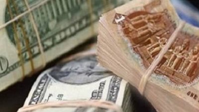 «حماية»: أزمة الدولار تهدد شركات القطاع العام