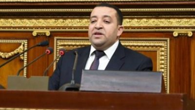 نائب: لن نطالب بزيادة حصة مياه مقابل السماح بزراعة الأرز في الوادي