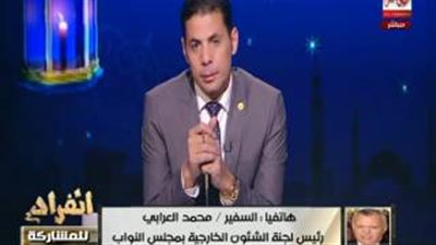 بالفيديو.. «العرابي»: لا تصالح مع تركيا في ظل وجود أردوغان