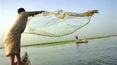 دعوات للاتحاد الأوروبي بفرض حظر على صيد الأسماك بالكهرباء