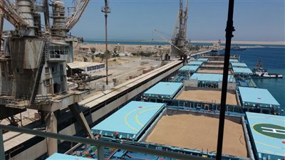 وصول 63 ألف طن قمح روسي لميناء سفاجا