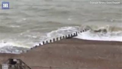 بالفيديو والصور.. ظهور قرش بمنطقة سياحية