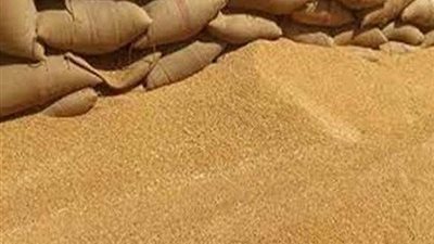 تطورات قضية فساد القمح بالقليوبية.. النيابة تستدعي وكلاء التموين والزراعة.. التحقيق استمر لمدة 4 ساعات.. حبس 8 موظفين 15 يوما.. تشكيل لجنة ثلاثية للاطلاع على ملف القضية