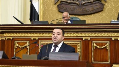 نائب يطالب برفع الغرامات عن زارعي الأرز في الوداي الجديد