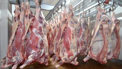 الأحد.. العمل رسميًا بالبصمة الجديدة لختم اللحوم البلدية في بورسعيد