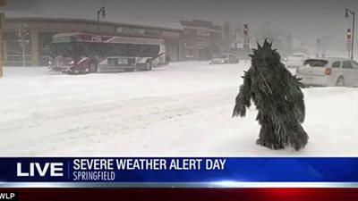 بالفيديو والصور.. مفاجأة غير متوقعة لمراسلة قناة إخبارية