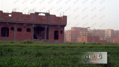 إزالة 332 حالة تعد على 4511 فدانا من أملاك الدولة في الشرقية