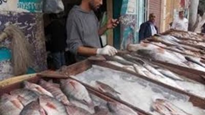 البلطي يسجل 18 جنيهًا بسوق الجملة.. اليوم