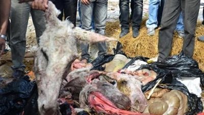 ضبط جزار بحوزته حمير مذبوحة في الشرقية