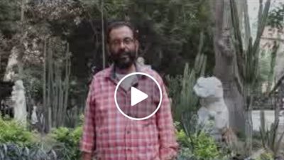 جامعة حلوان تنتج فيديو «أنا فنون جميلة» يحكي تاريخ وأصالة الكلية