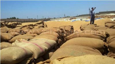 مسئول تمويني يكشف خطة تأمين شون القمح المكشوفة من الأمطار