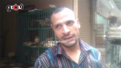 بالفيديو.. الدجاج الأبيض يسجل 25.5 جنيها في الأسواق