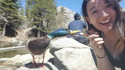 بالصور.. أطرف اللقطات ترصد ما قبل وقوع الكارثة