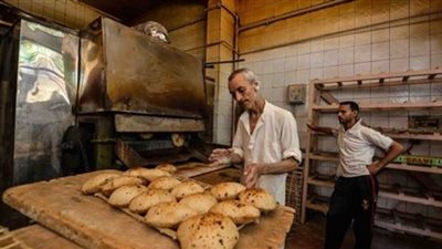 «تموين الوادي الجديد» يحرر 12 محضرا للمخابز المخالفة