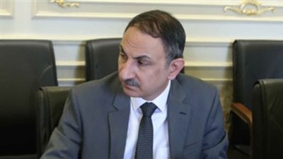 برلماني يقدم طلب إحاطة عن تنظيم استيراد السلع الاستراتيجية