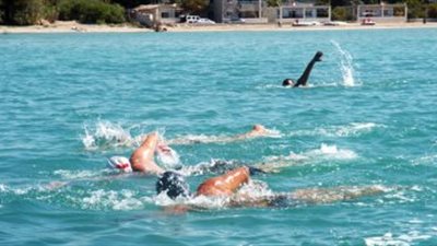 مهرجان فرنسي للسباحة لأجل توفير المياه الصالحة للشرب في هايتي