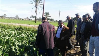 وكيل «زراعة دمياط» يوجه بالتواجد الميداني لرصد المخالفات (صور)