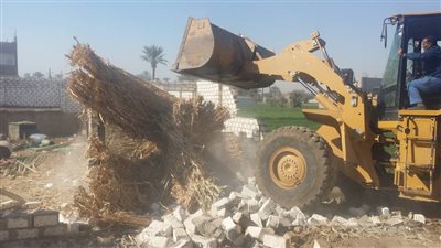 إزالة 32 حالة تعد على أراض زراعية وأملاك دولة في قنا (صور)