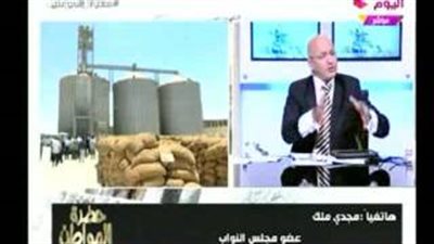 برلماني: تقصي الحقائق لم تتطرق لسلوكيات خالد حنفي في فساد القمح