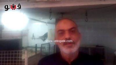 «فيتو» في مسرح جريمة قتل صاحب عقار لـ«مسن» وزوجته بالساحل.. شهود عيان: المتهم ترصد للمجني عليه لشهادته في قضية ميراث مرّ عليها 30 سنة.. انهال عليه بـ«بلطة» وعندما حاولت ز