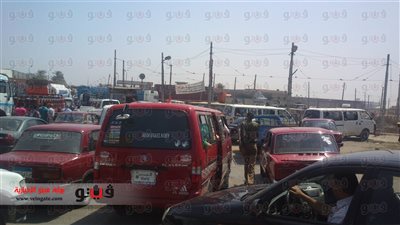 بالصور.. توقف الحركة المرورية بغرب الإسكندرية