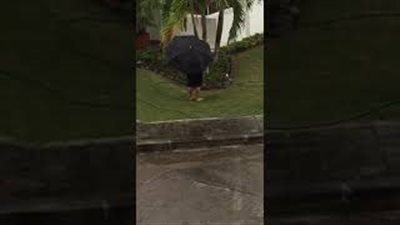تصرف غبي لرجل أثناء هطول الأمطار (فيديو)