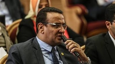 صلاح حسب الله: تحويل ائتلاف دعم مصر لحزب سياسي بعد انتخابات الرئاسة