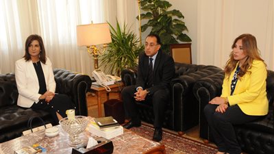 وزيرا الإسكان والهجرة يتفقان على خدمات جديدة للمصريين بالخارج